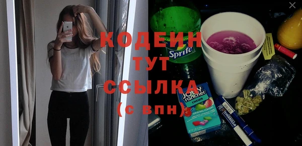 ГАЛЛЮЦИНОГЕННЫЕ ГРИБЫ Пересвет