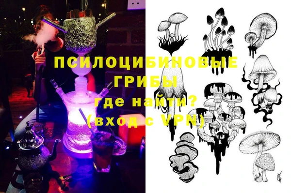 ГАЛЛЮЦИНОГЕННЫЕ ГРИБЫ Пересвет