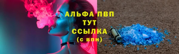 ГАЛЛЮЦИНОГЕННЫЕ ГРИБЫ Пересвет