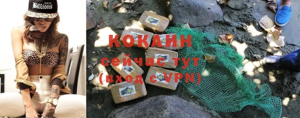 ГАЛЛЮЦИНОГЕННЫЕ ГРИБЫ Пересвет