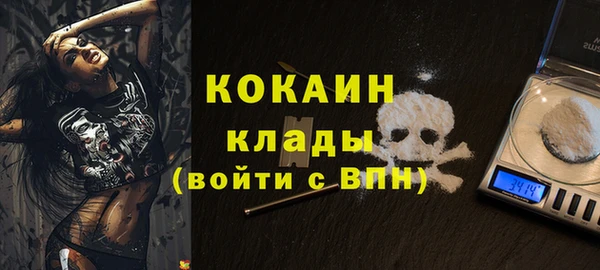 ГАЛЛЮЦИНОГЕННЫЕ ГРИБЫ Пересвет