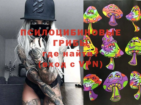 ГАЛЛЮЦИНОГЕННЫЕ ГРИБЫ Пересвет