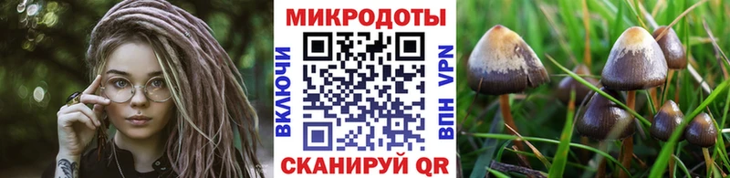 Псилоцибиновые грибы прущие грибы  Купить закладки  Суровикино 
