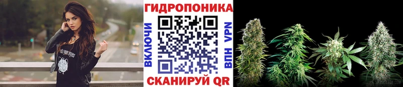 Купить  Суровикино  Каннабис MAZAR 